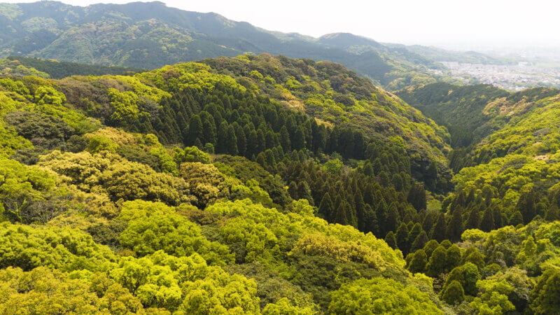 耳納連山の癒しドローン絶景。緑豊かな山並みと心やすらぐアンビエント風景