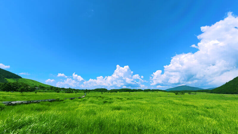 阿蘇くじゅう国立公園タデ原湿原の夏空に流れる雲の癒し風景