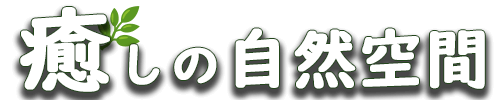 癒しの自然空間